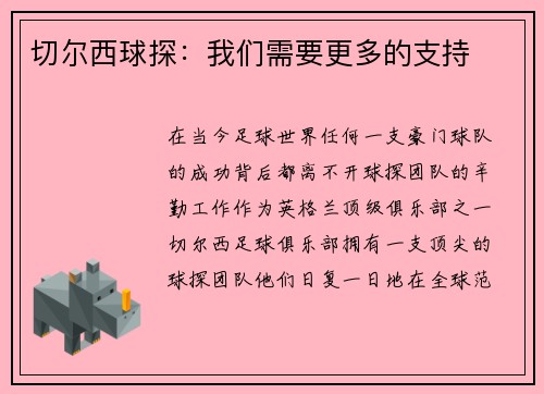 切尔西球探：我们需要更多的支持