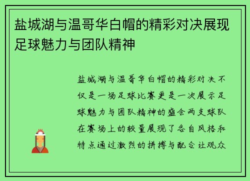 盐城湖与温哥华白帽的精彩对决展现足球魅力与团队精神