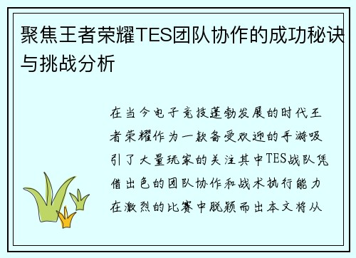 聚焦王者荣耀TES团队协作的成功秘诀与挑战分析