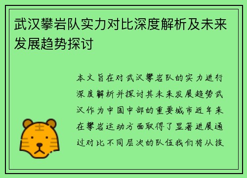 武汉攀岩队实力对比深度解析及未来发展趋势探讨